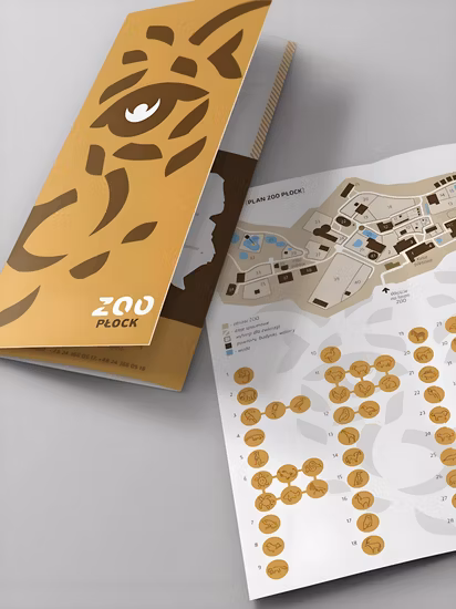 Custom Paper Printed Instruction Folding Leaflet Brochure Manual