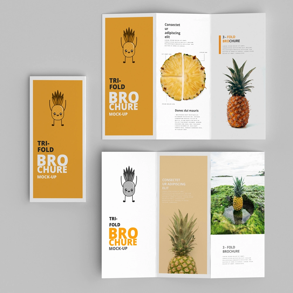 Custom Design Printing Tri-Fold Brochure Paper Printing Services