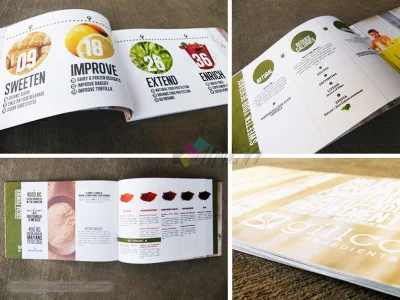 Livret plié sur mesure/brochure papier publicitaire d'impression polychrome