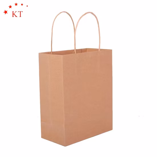 La coutume a imprimé le brun de cadeau d'achats d'art promotionnel réutilisé par coutume/sacs en papier blancs d'emballage avec la poignée tordue