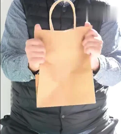 Offre spéciale personnalisée imprimé poignée marron Kraft vêtements Shopper sac en papier Kraft recyclé avec poignées torsadées